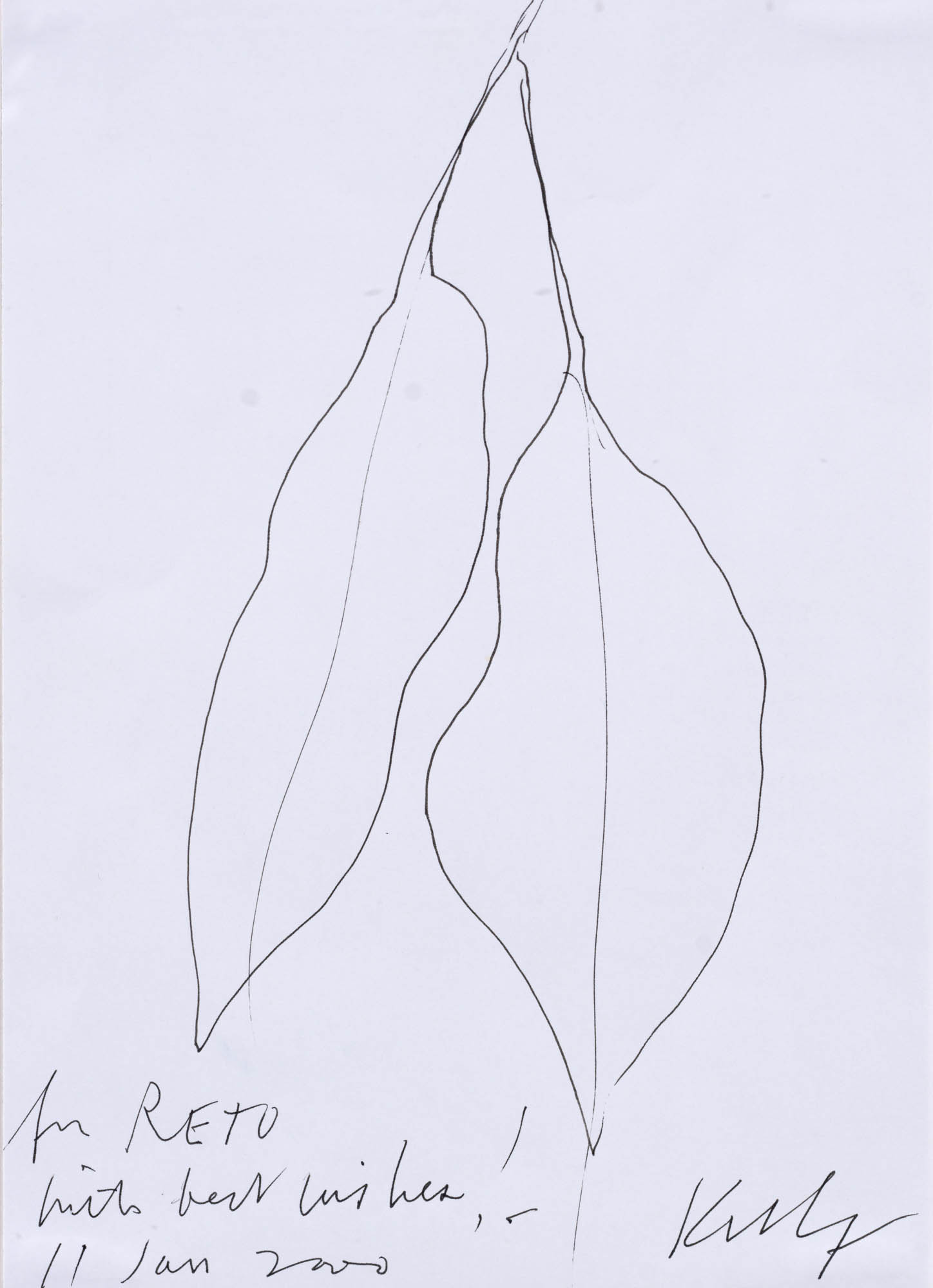 Ellsworth Kelly - Leaves