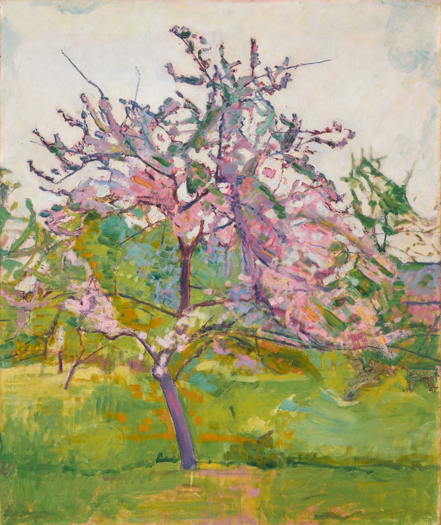 Cuno Amiet - Blühender Baum