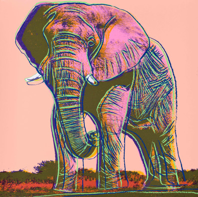 Andy Warhol - African Elephant
