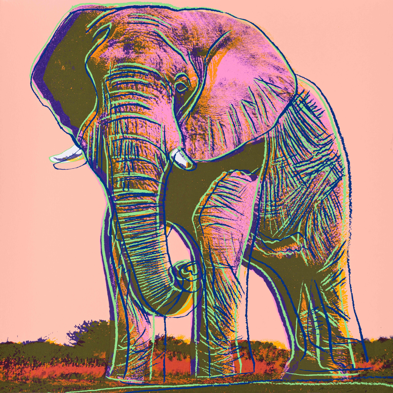 Andy Warhol - African Elephant