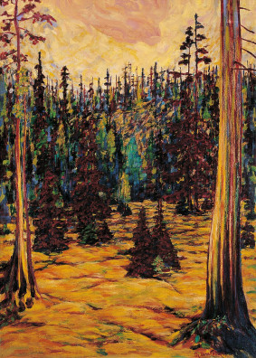 Philipp Bauknecht - Sommerwald