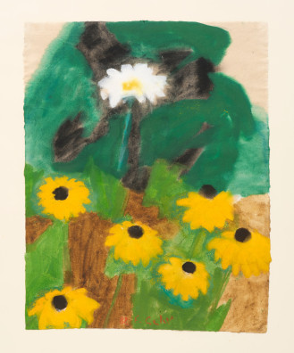 Ferdinand Gehr - Aster und Rudbeckien