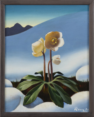 Ruggero Alfredo Michahelles - Bergblume