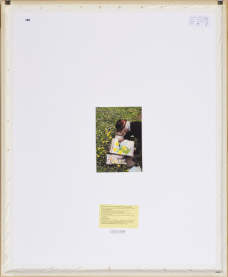 Ferdinand Gehr - Aster und Rudbeckien